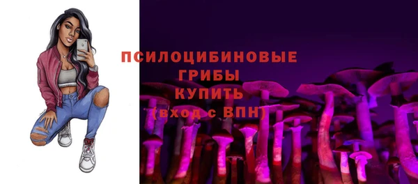 mix Алексин