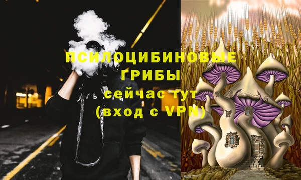 mix Алексин