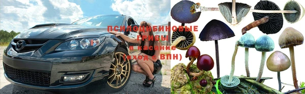 соль ск Алексеевка