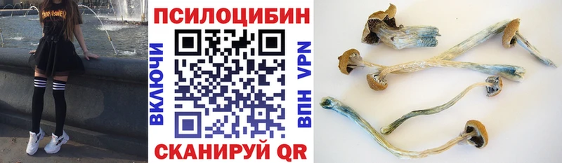 mega ссылка  Иннополис  Галлюциногенные грибы GOLDEN TEACHER  наркота 